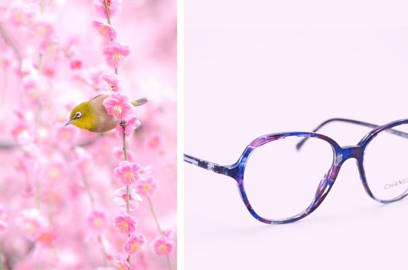 Lunette de vue Chanel-2016-rose et bleue