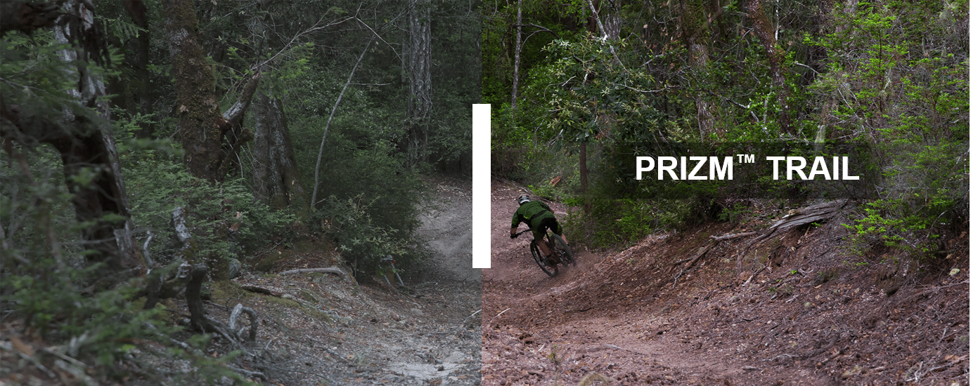 Oakley Prizm Trail : verres pour VTT et trail, reliefs forestiers et racines mieux visibles en sous-bois